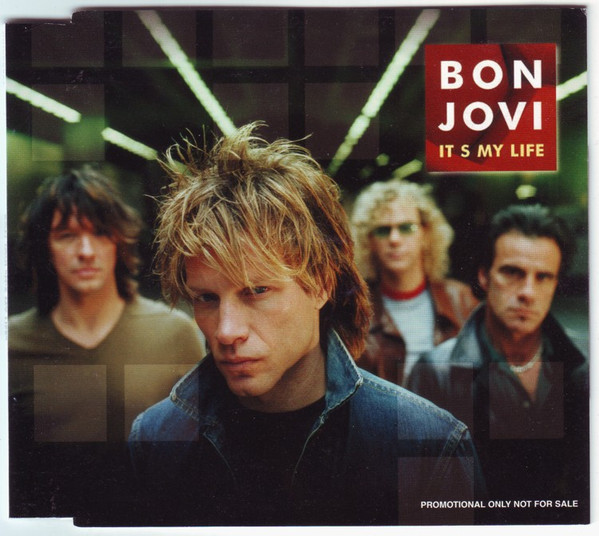 <div class="title"><span class="post-title">Ma vie à moi</span><span class="post-subtitle hvr-bounce-to-left"><span class="post-subtitle-icon">♪</span>Bon Jovi – It's my life</span></div>